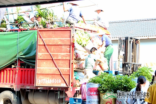 电竞比赛押注app