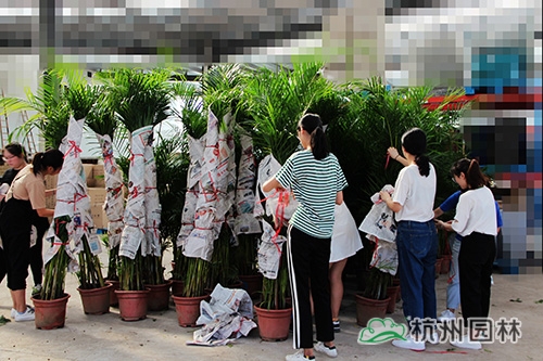 电竞比赛押注app