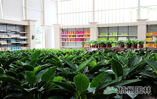 电竞比赛押注app