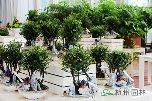 电竞比赛押注app