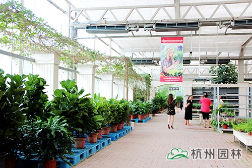 电竞比赛押注app