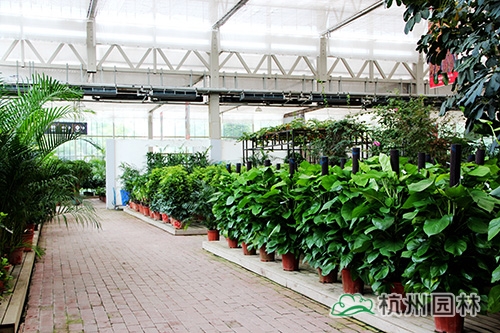 电竞比赛押注app