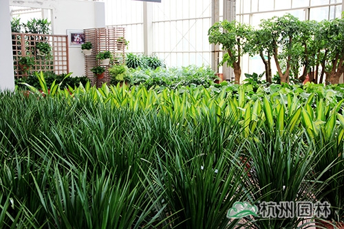 电竞比赛押注app