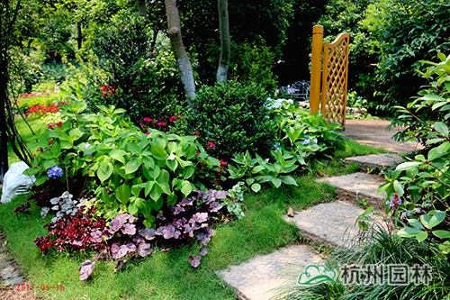 电竞比赛押注app