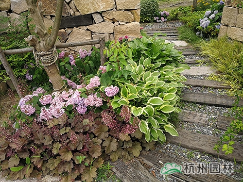 电竞比赛押注app