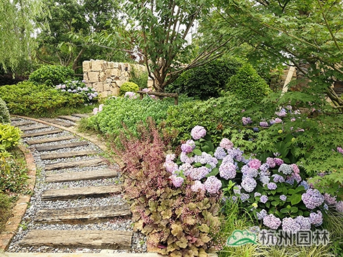 电竞比赛押注app