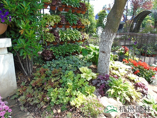 电竞比赛押注app