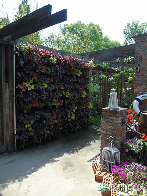 电竞比赛押注app