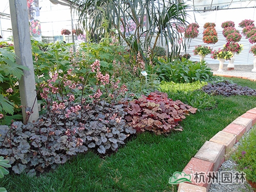 电竞比赛押注app