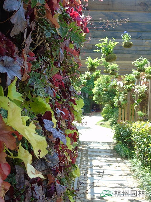 电竞比赛押注app