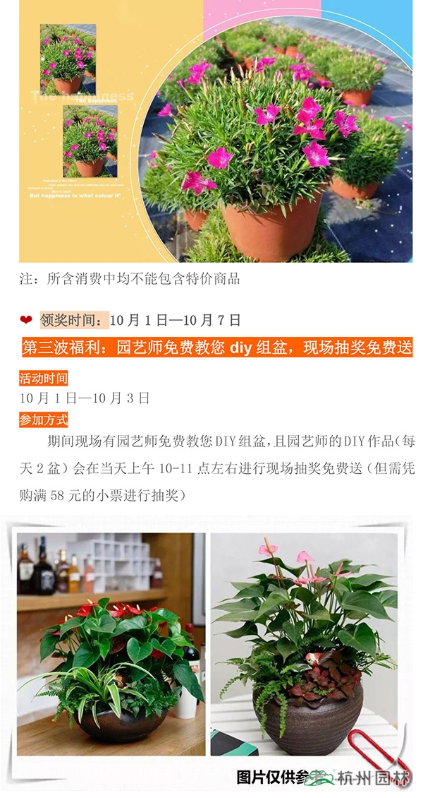 电竞比赛押注app