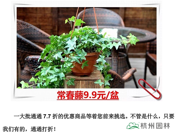 电竞比赛押注app