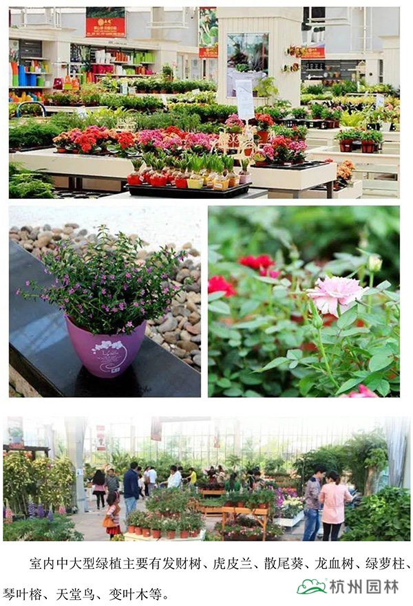 电竞比赛押注app