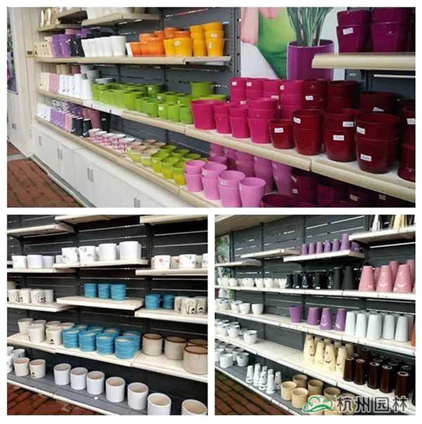 电竞比赛押注app