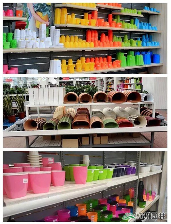 电竞比赛押注app