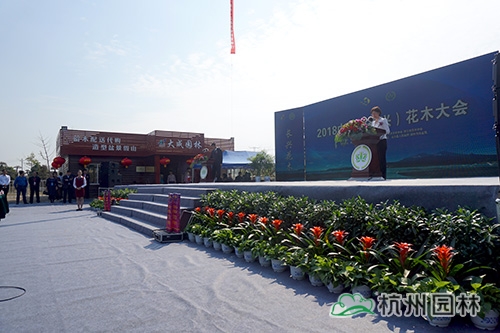 电竞比赛押注app