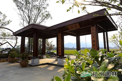 电竞比赛押注app