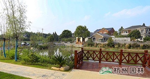 电竞比赛押注app