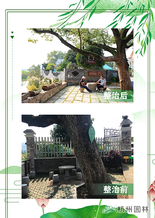 电竞比赛押注app