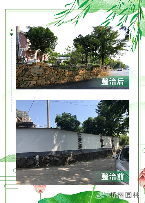 电竞比赛押注app