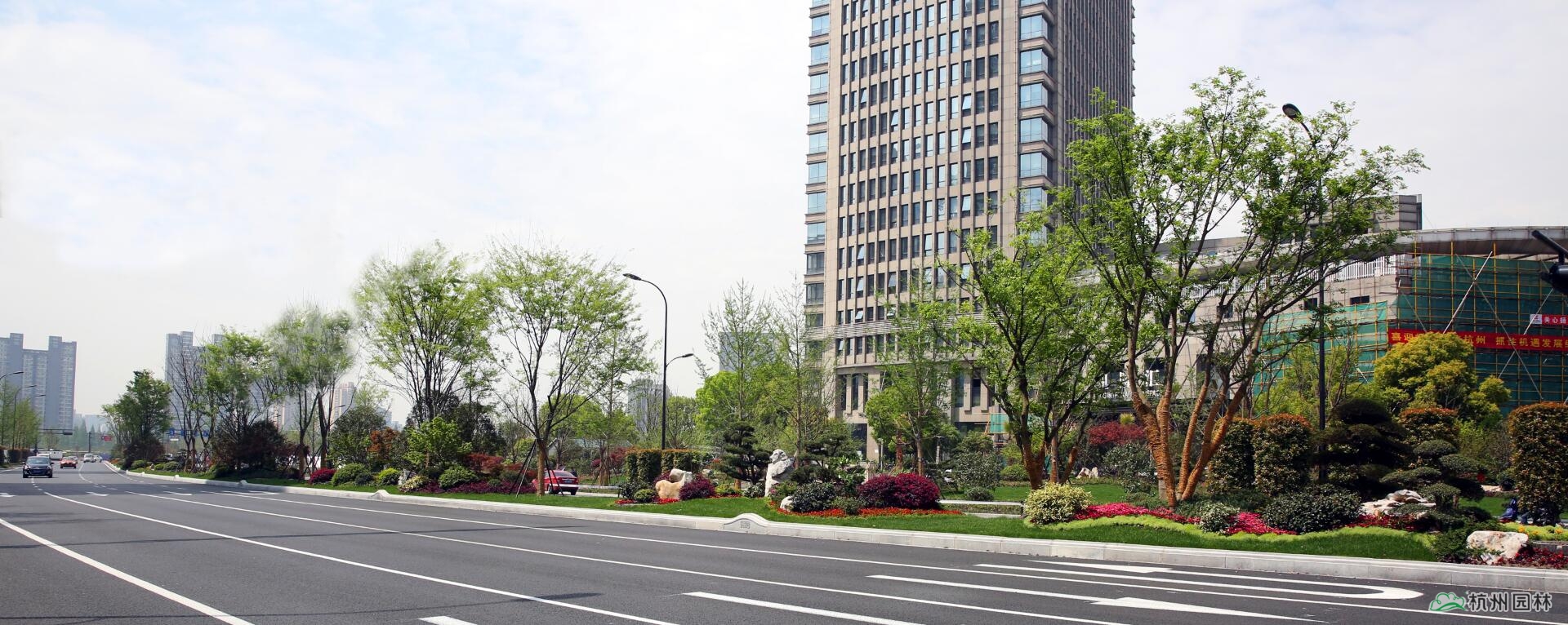 电竞比赛押注app