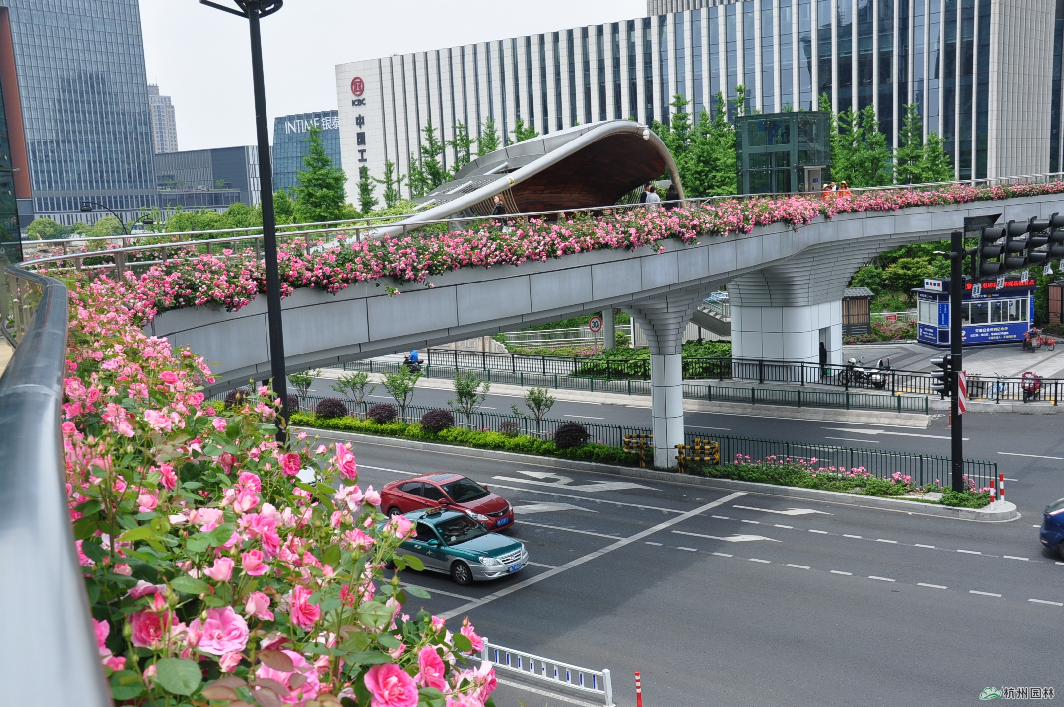 电竞比赛押注app