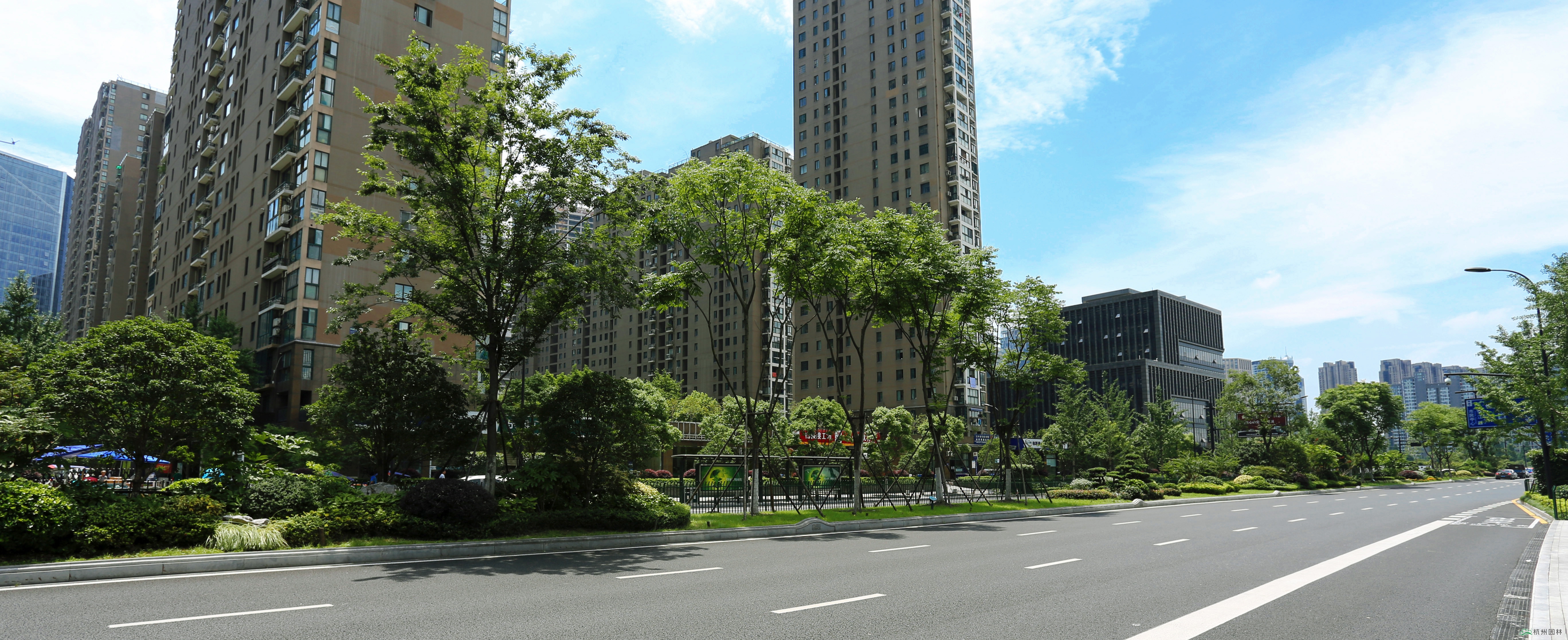 电竞比赛押注app