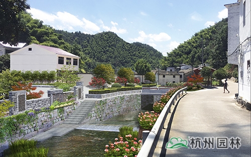 电竞比赛押注app