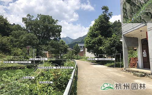 电竞比赛押注app