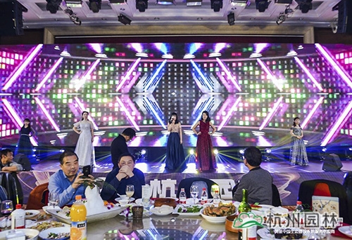 电竞比赛押注app