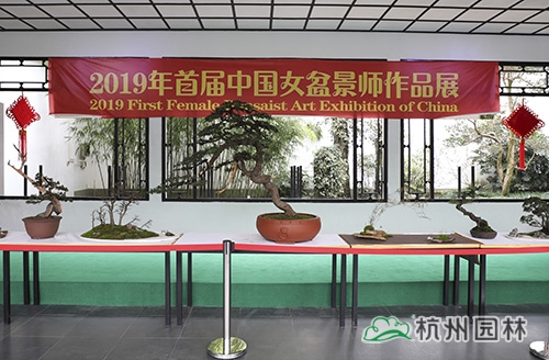 电竞比赛押注app