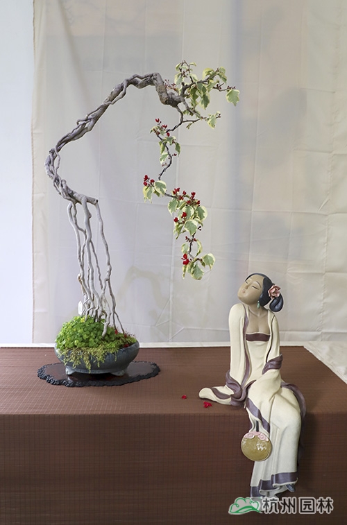 电竞比赛押注app