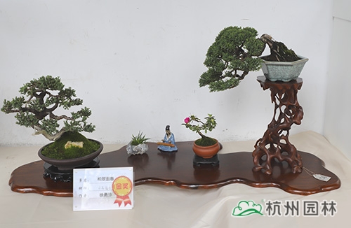 电竞比赛押注app