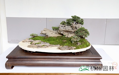 电竞比赛押注app