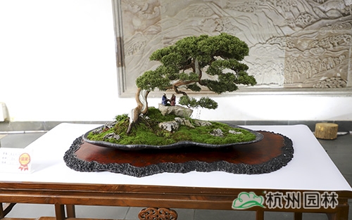 电竞比赛押注app