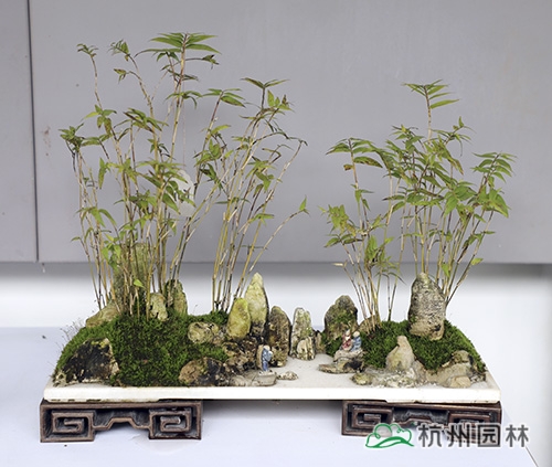 电竞比赛押注app