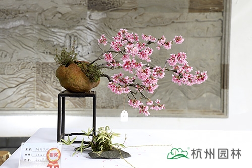 电竞比赛押注app