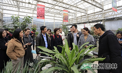 电竞比赛押注app