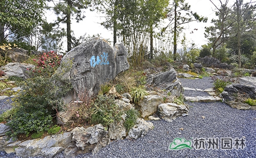 电竞比赛押注app