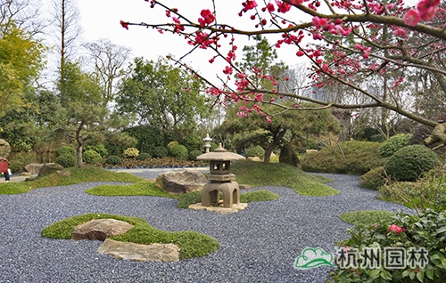 电竞比赛押注app