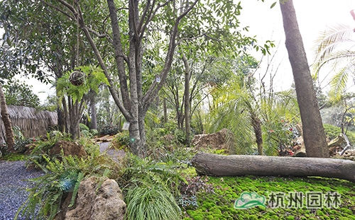 电竞比赛押注app