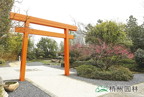 电竞比赛押注app