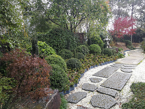 电竞比赛押注app