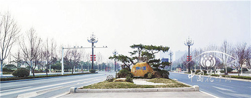 电竞比赛押注app