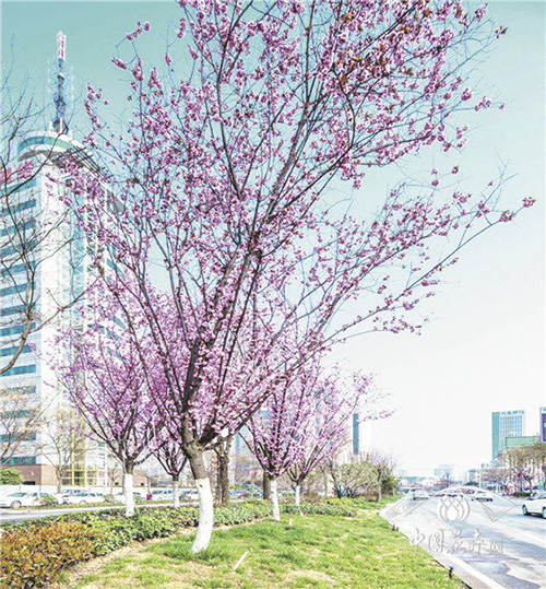 电竞比赛押注app