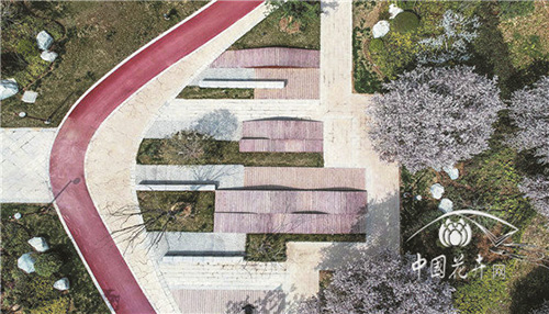 电竞比赛押注app