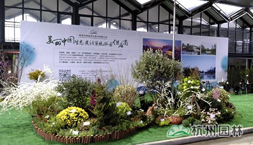 电竞比赛押注app