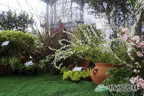 电竞比赛押注app