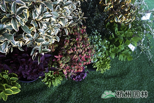 电竞比赛押注app