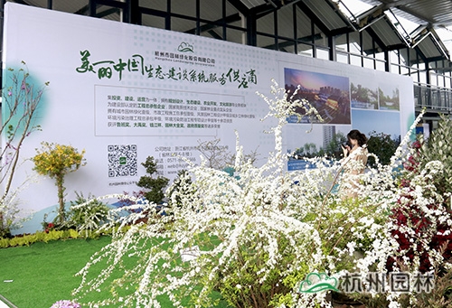 电竞比赛押注app